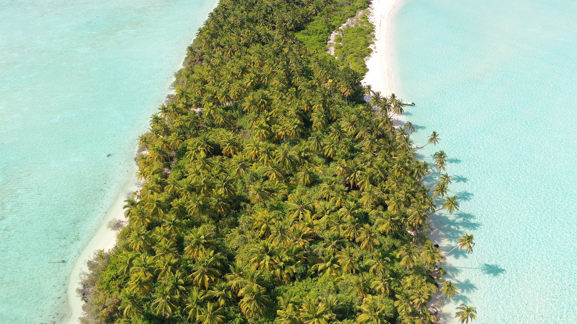Slider-image01