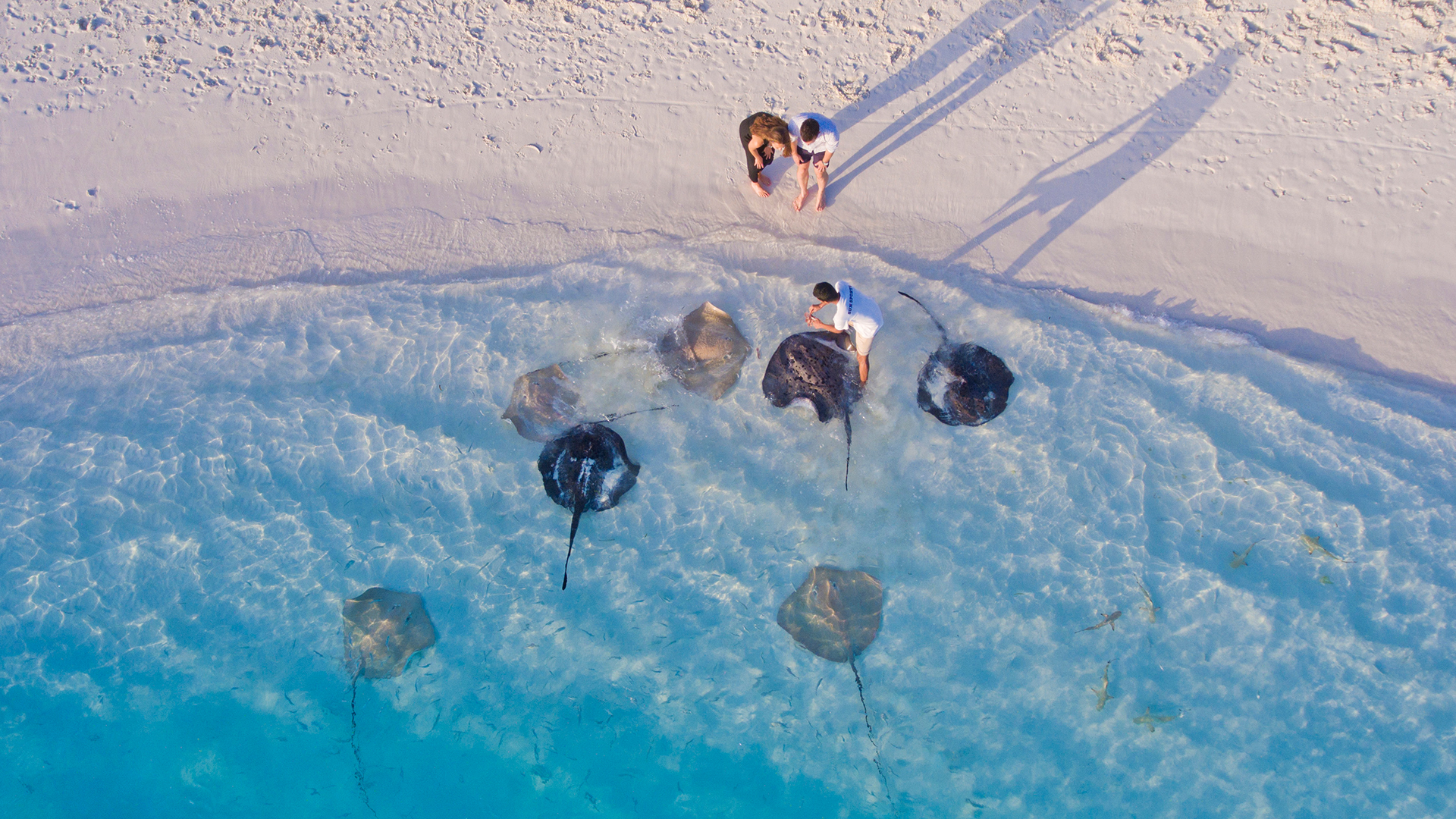 sunisland_0000_020616_Sun_Island_5678