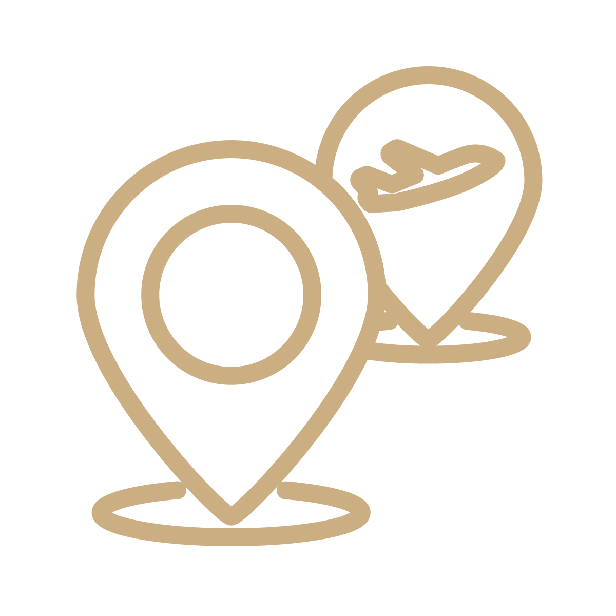 Nearby Airport_icon