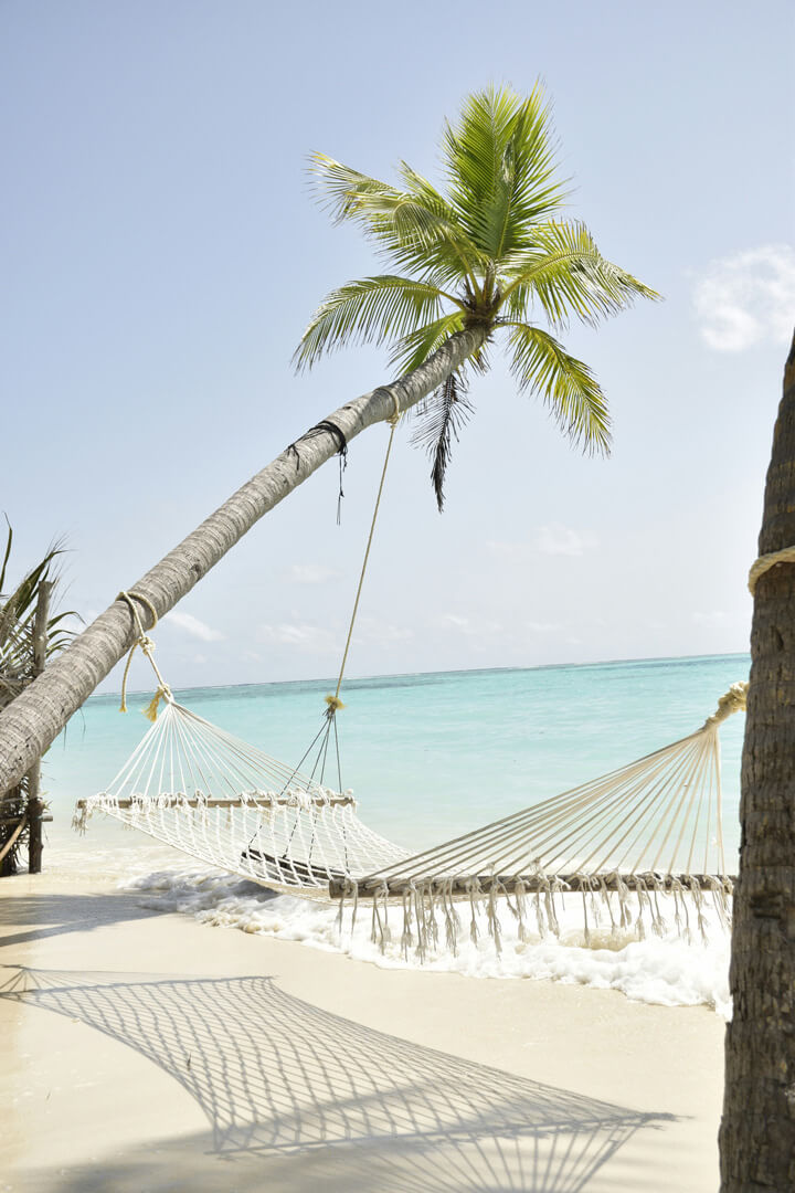 Hammock by the beach Hammock by the beach